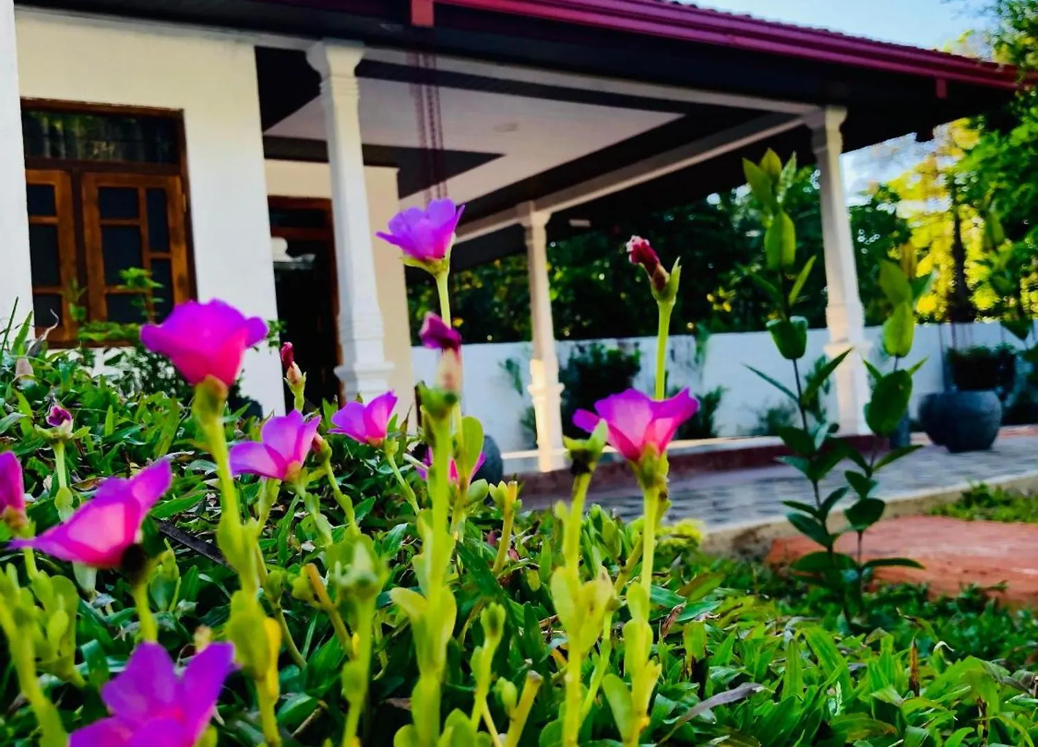 Country house Tropical Dream Villa Habarana Moragaswewa